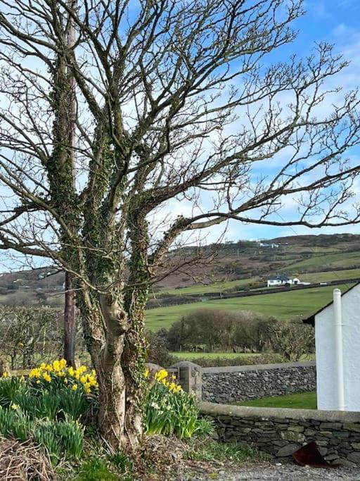 Gors Eilian Villa Amlwch Exterior foto